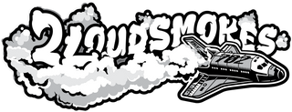 2LS logo