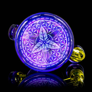 Mothership - Elite Torus (Nova Citron Neptunium Royal Jelly)