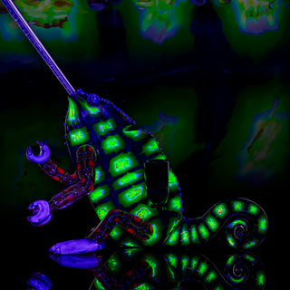 Crunklestein - Sitting Chameleon