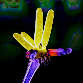 Crunklestein - Sitting Chameleon
